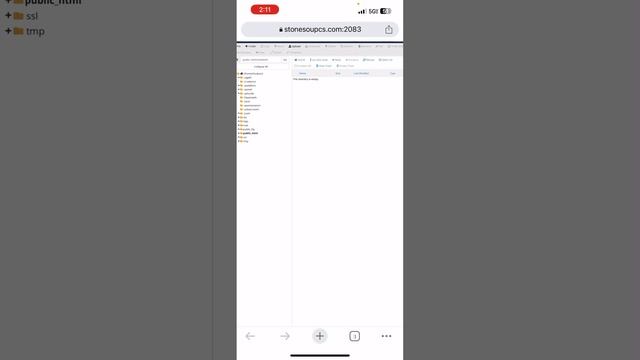 How to Publish a Gamma App Presentation to A Website смотреть онлайн