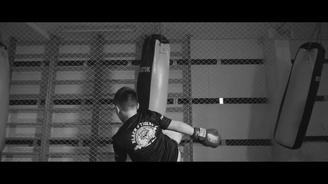 КЛИП "BLACK TIGERS" смотреть онлайн