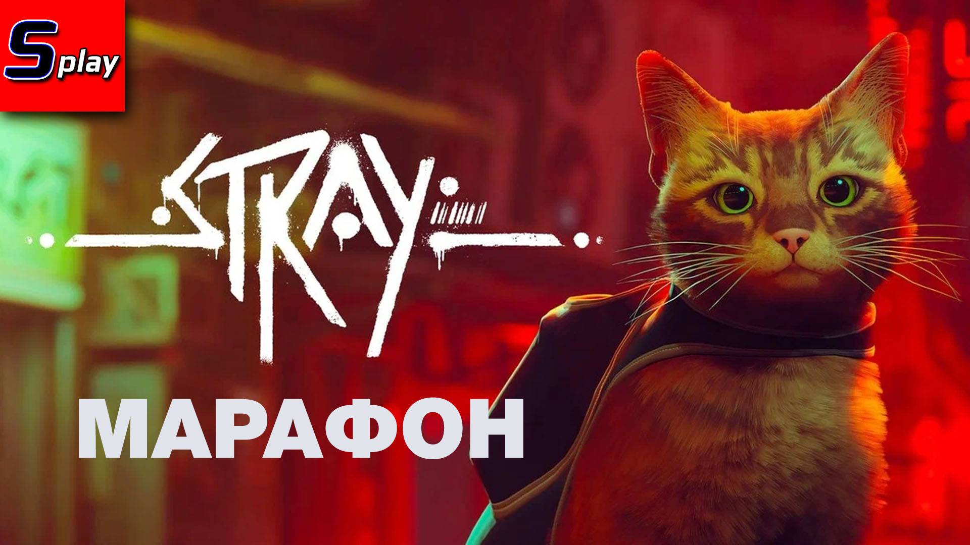 Марафон Stray (полуспидран) смотреть онлайн