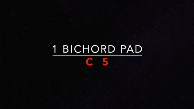 Static bichord pad - C5 смотреть онлайн