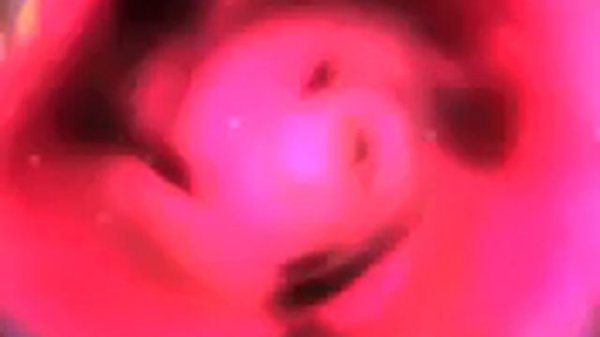 Гарибшо Ташриф 7 2015