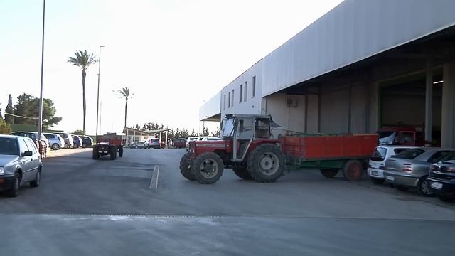 Nocellara del Belice. Olive da tavola смотреть онлайн