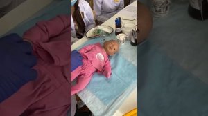 Алгоритм кормления новорожденного через зонд