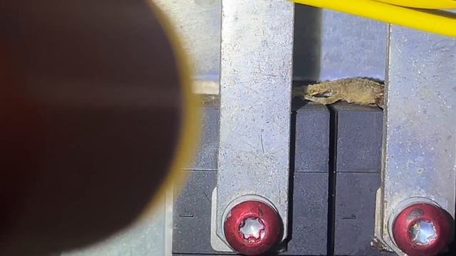 TRANE RTAE 150 Air Cooled Chiller Circuit 1 AFD 1A Bus Under Voltage Alarm Not Resetting…Part 1