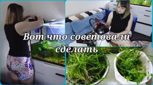 ДОМАШНИЙ АКВАРИУМ 🐠 СОДЕРЖАНИЕ АКВАРИУМА 🐠 ФИЛЬТР ДЛЯ АКВАРИУМА