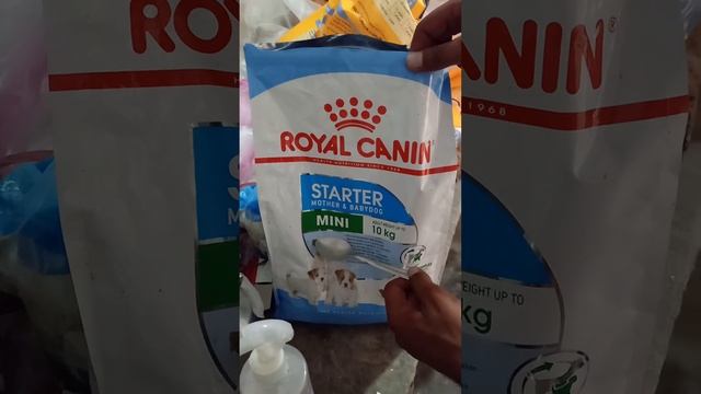 Royal canin dog food Kaise bane смотреть онлайн