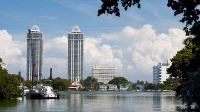 Roisin Murphy Dear Miami