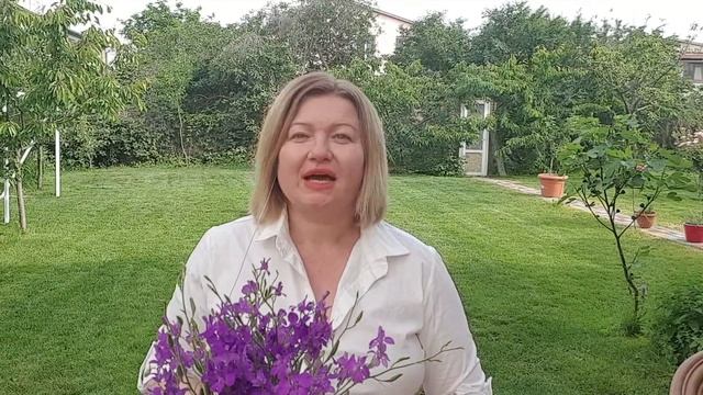 Летний профессиональный детокс смотреть онлайн