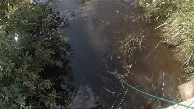 ЧТО МЫ СМОГЛИ ПОЙМАТЬ НА НОВЫЙ МАГНИТ 200КГ смотреть онлайн