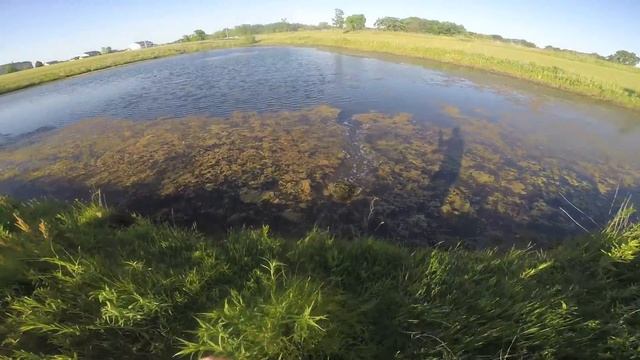 6.3lb Largmouth on 8 inch HUDD смотреть онлайн