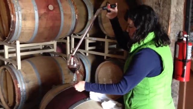 Barrel Sampling at Regusci Winery смотреть онлайн