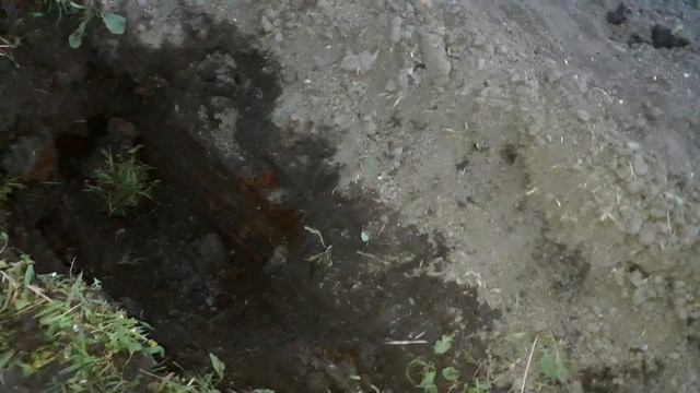 Коп металла в огороде , нашли великий клад смотреть онлайн