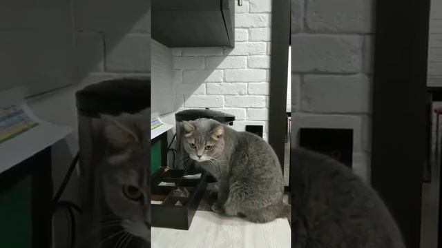 Попьем чайку смотреть онлайн