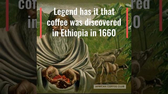 Ethiopia Fun Facts