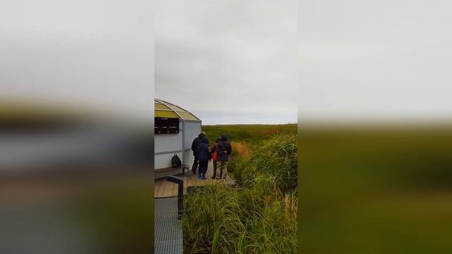 20 Дагинские термальные источники смотреть онлайн