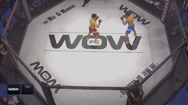 WOW 12 - FULL FIGHT - Diego Esteche VS Luis Pico смотреть онлайн