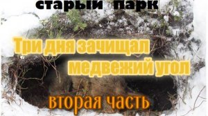 ТРИ ДНЯ ЗАЧИЩАЛ МЕДВЕЖИЙ УГОЛ. Часть вторая