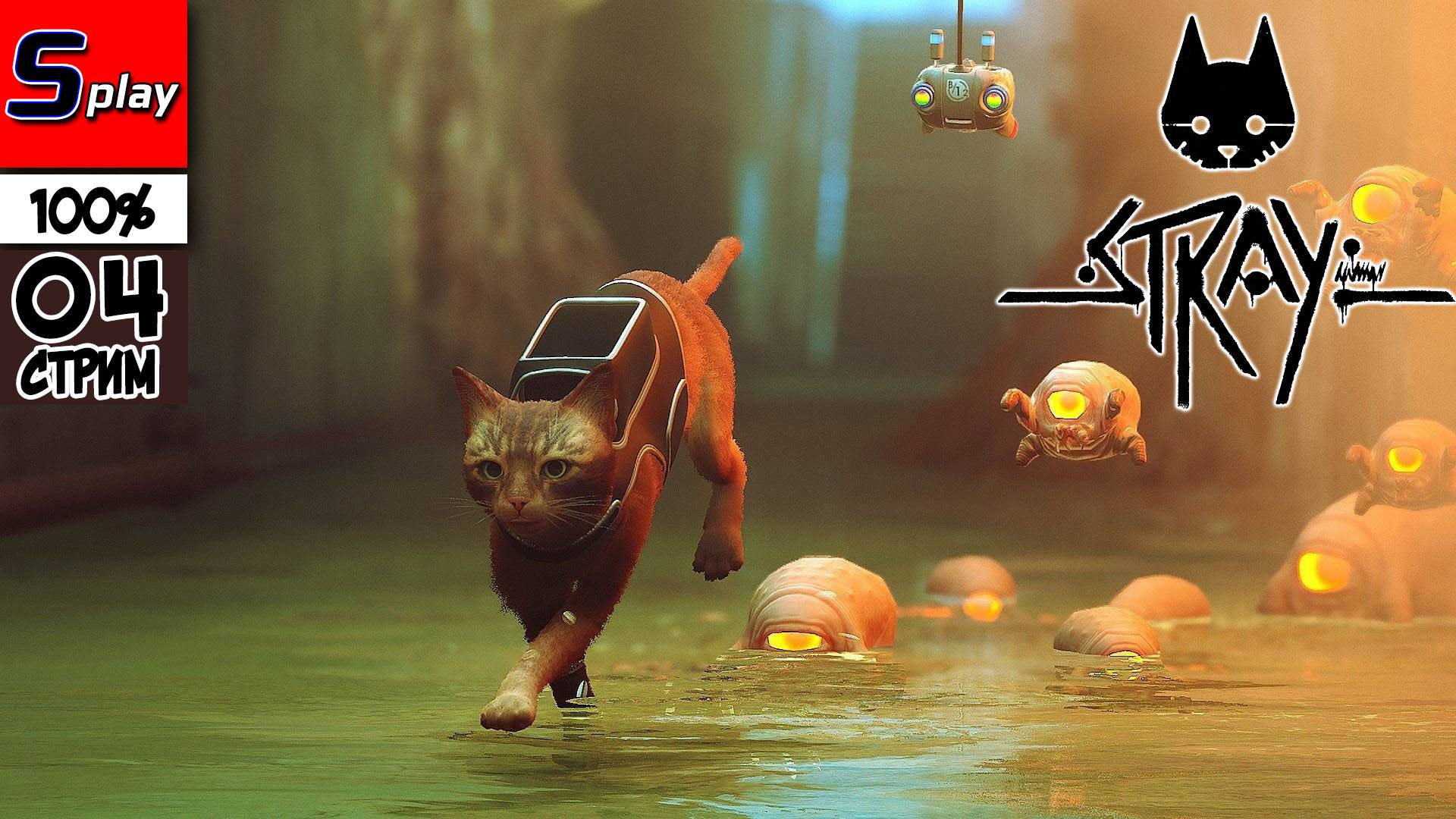 Stray на 100% - [04 - стрим] - Финал смотреть онлайн