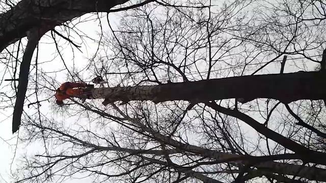 пилим немного.mp4 смотреть онлайн