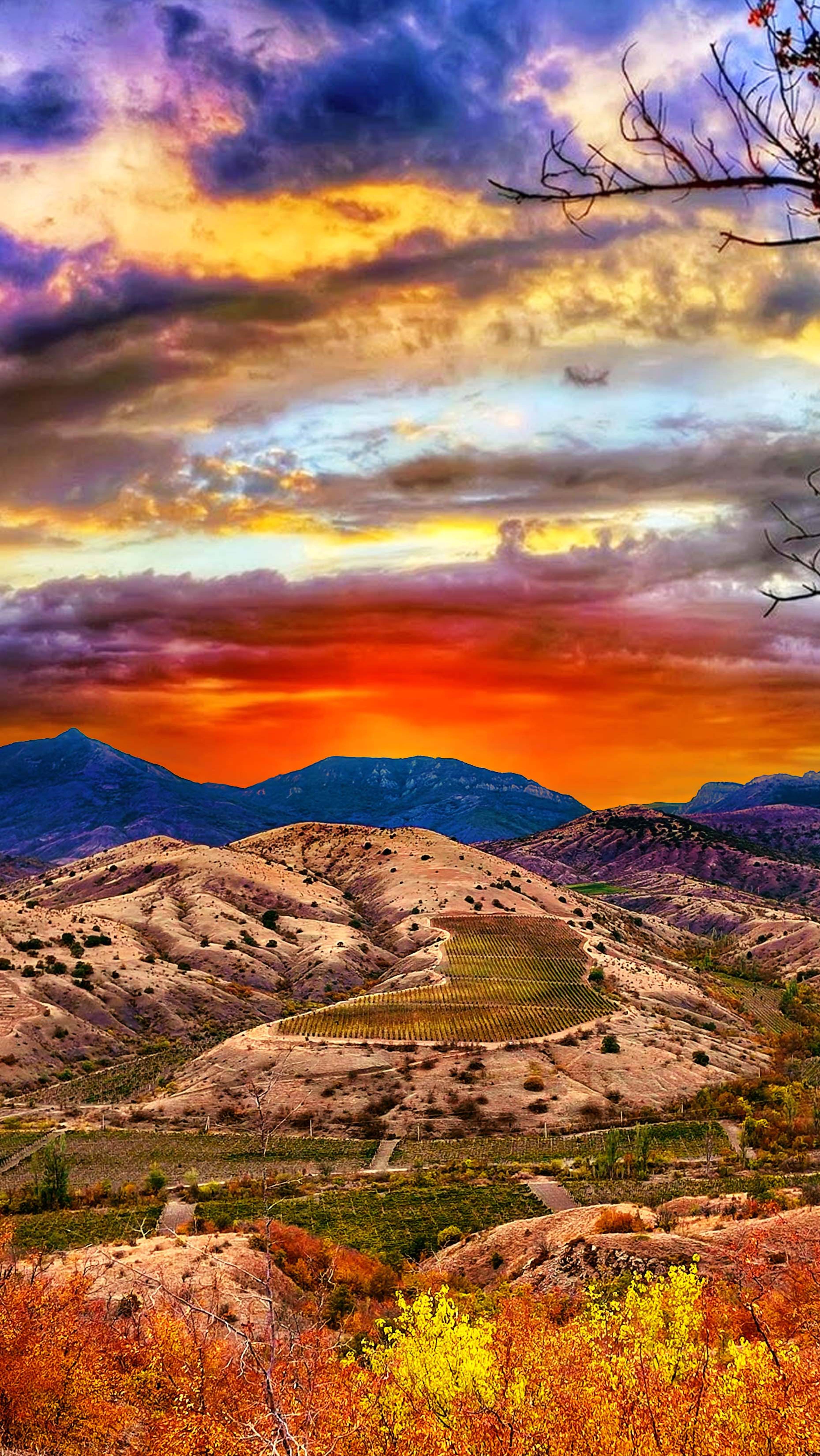 Золотая осень смотреть онлайн