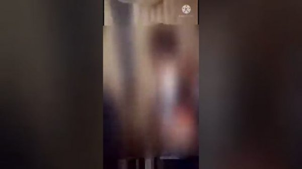 запал / zapal erga / XIYONAT