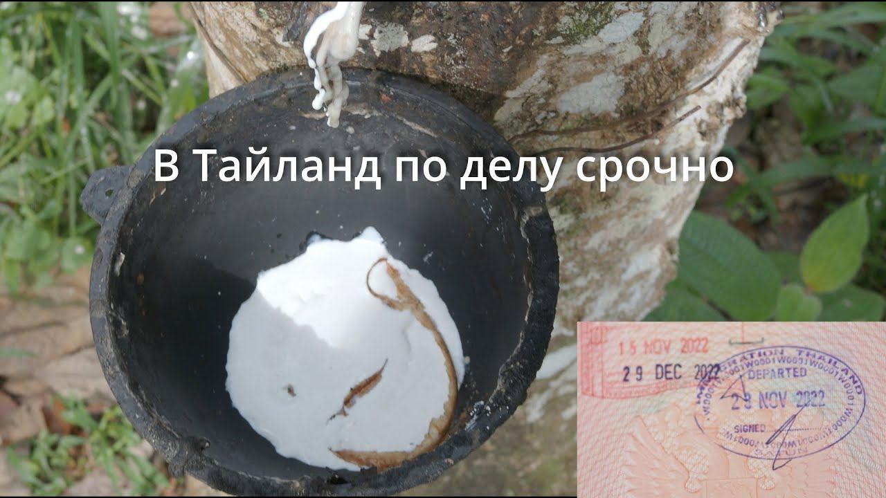 Малайзия - Тайланд, потерялся в джунглях. смотреть онлайн