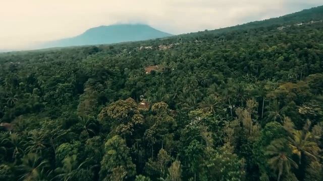 БИЛАЛ ДАРБАЛИ Спокойное чтение Рукия Волшебным расслабляющим голосом. смотреть онлайн