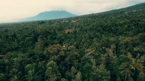 БИЛАЛ ДАРБАЛИ Спокойное чтение Рукия Волшебным расслабляющим голосом.