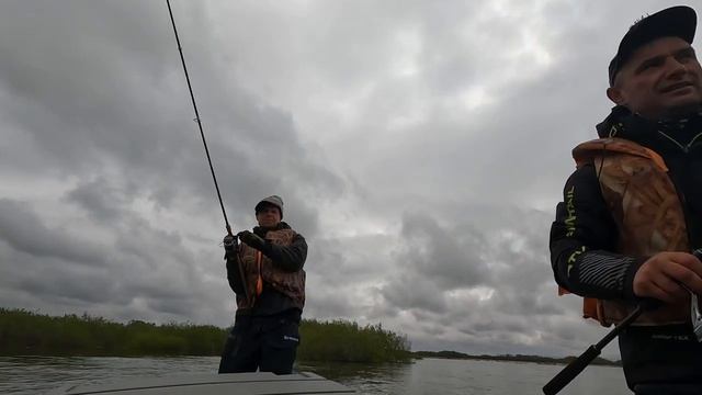 Чавыча. Трофейная рыбалка на Камчатке,р. Большая. #чавыча #kingsalmon #трофейнаярыбалка