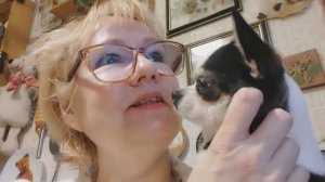 Влог успеть до воскресенья. Рената Смирнова. 2025