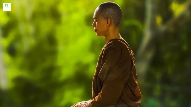 Meditation Music for Positive Energy - Buddhist Meditation Music l Relax Mind Body смотреть онлайн