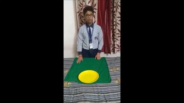 PHYSICS PROJECT ON LAW OF INERTIA (BY, SUBHRAJIT MAITRA , CLASS 9, TIGPS. BALURGHAT) смотреть онлайн