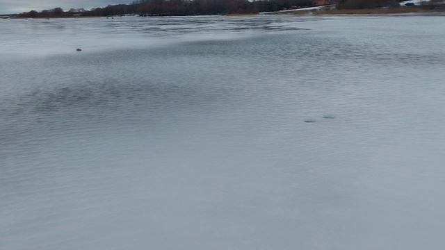 20250117_131236 смотреть онлайн