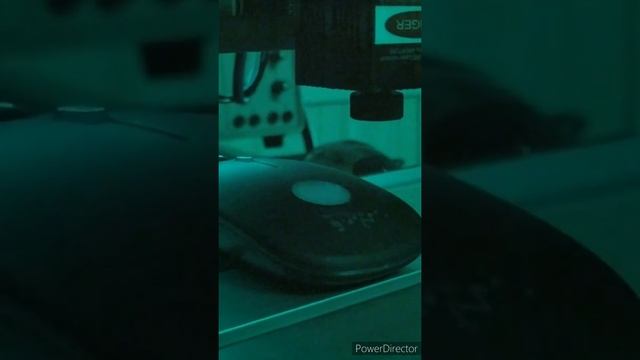 CNC3018 Pro with Laser 2500mW - Task 1 смотреть онлайн
