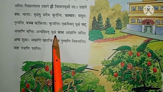DAV SANSKRIT CLASS 5 CHAPTER 14 ॥ Kati Vastuni Santi ? कति वस्तूनि सन्ति ? Explanation ॥ सुरभिः ॥ смотреть онлайн