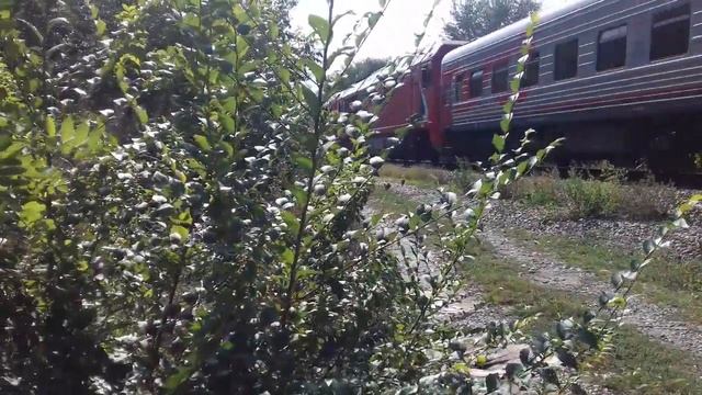 Тепловозы ТЭП70БС-116 с ТЭП70БС-087 с пассажирским поездом с перегоном Адлер-Ставрополь и бригада. смотреть онлайн