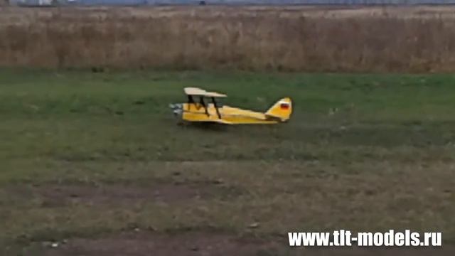 Тайгер мот и стол смотреть онлайн