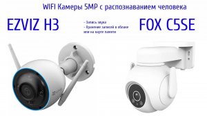 WIFI IP поворотная  Камера FOX и статическая камера Ezviz. Камеры 5Mр с распознаванием человека