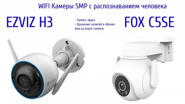 WIFI IP поворотная  Камера FOX и статическая камера Ezviz. Камеры 5Mр с распознаванием человека
