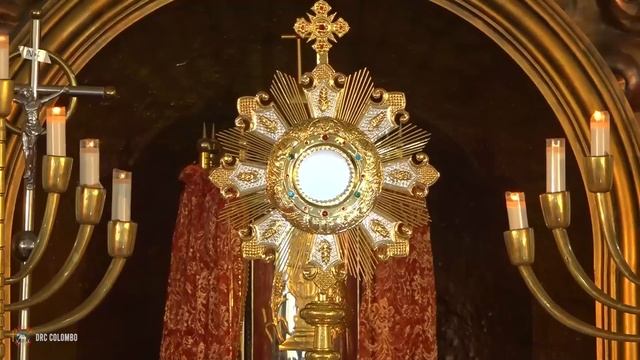 Preparation for Pentecost | Adoration led by Fr Michael Payyapilly VC | English | Divine Colombo смотреть онлайн