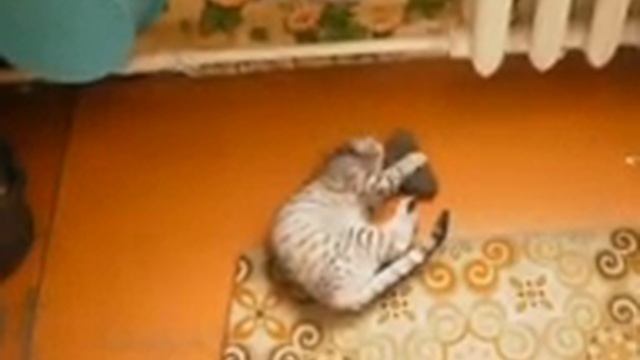 Магнетизм смотреть онлайн