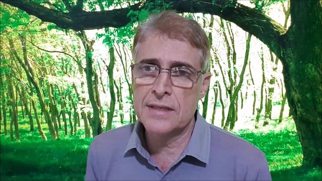 DRONE AMERICANO ABATIDO смотреть онлайн