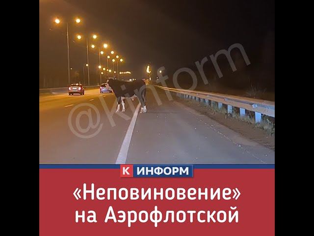 Ночной нарушитель смотреть онлайн