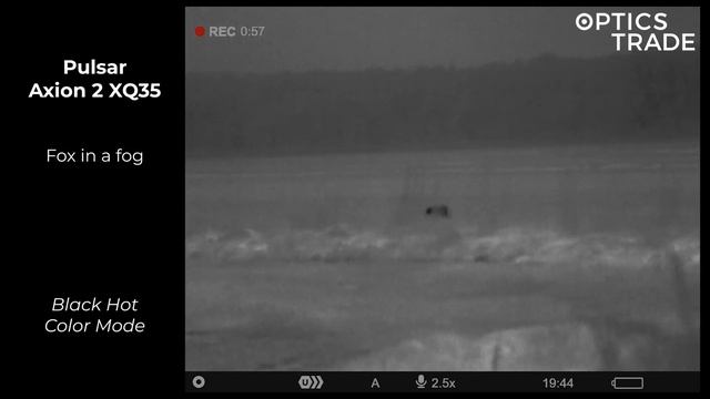 Pulsar Axion 2 XG35 in the FOG | Optics Trade See Through смотреть онлайн