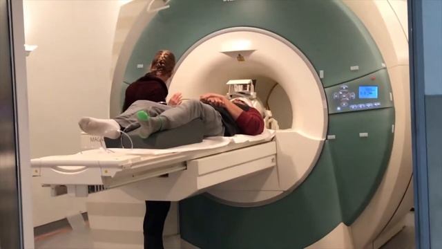 MY BRAIN & SCIENCE! смотреть онлайн