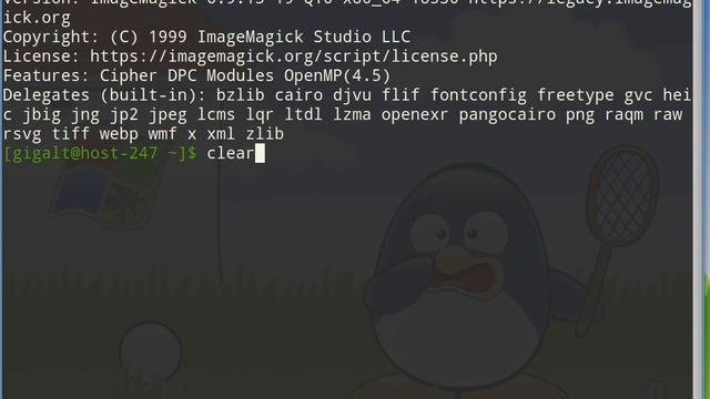 ImageMagick практика.