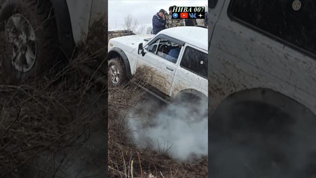 Нива Может Главное что бы Водитель не ссал .