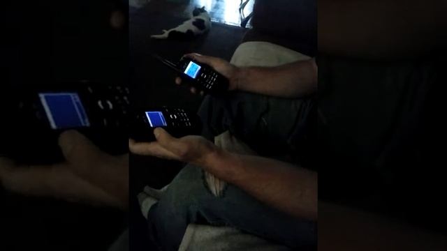 Tyt dm-uvf10 the next day after dunking them смотреть онлайн