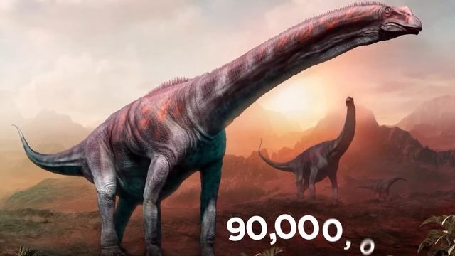 The Largest Organs of Any Animal Ever смотреть онлайн