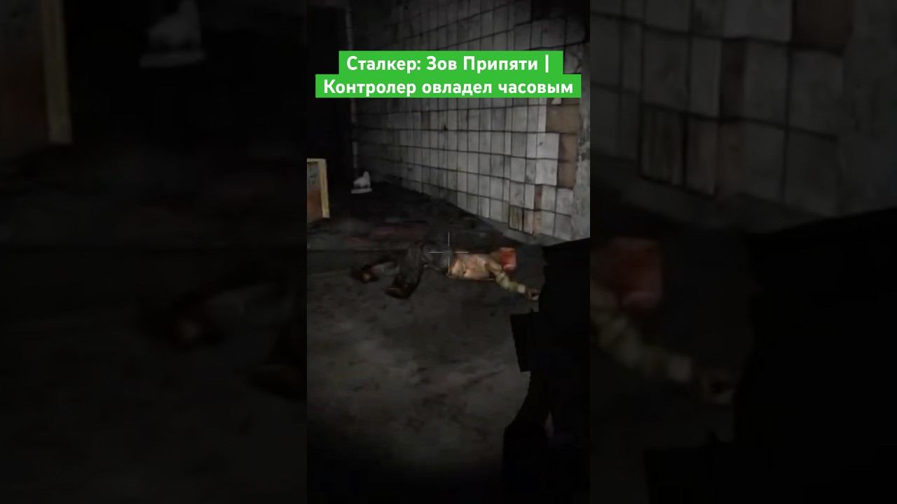 Сталкер: Зов Припяти | Контролер овладел часовым #сталкер #stalker #чернобыль #припять #chernobyl